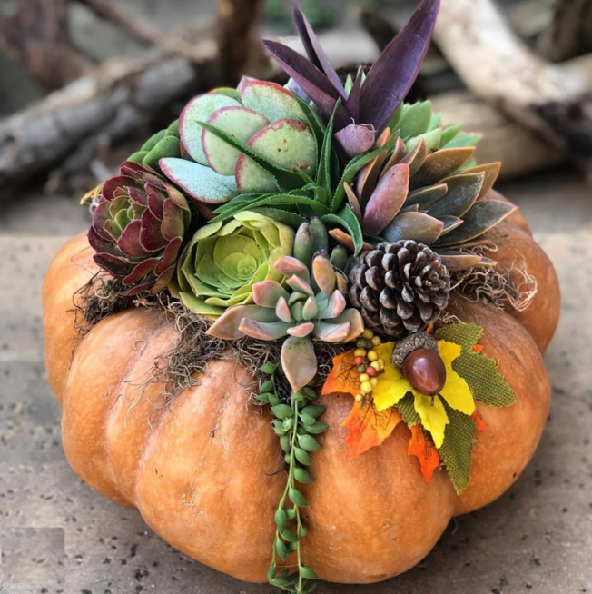 Fall Succulent Pumpkin - Craft Social Party Sept 12