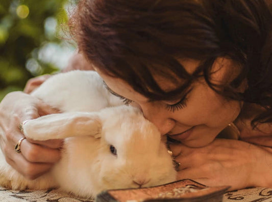 Empath Healing: Tarot, Meditation & Divine Protection Nov 15
