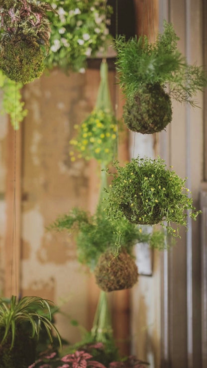 Kokedama Workshop July 12